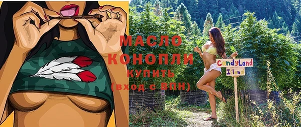 mix Бородино