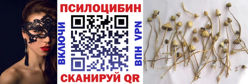 Купить  Пласт  Галлюциногенные грибы прущие грибы 